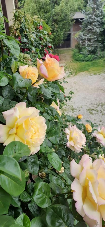 Il Giardino Del Gallo Cherasco Exteriér fotografie