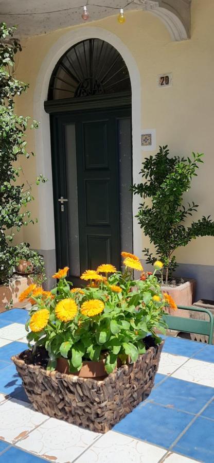 Il Giardino Del Gallo Cherasco Exteriér fotografie