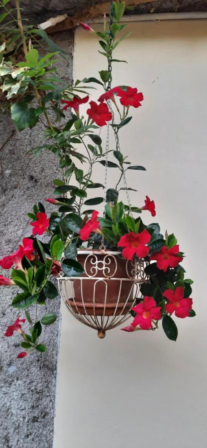 Il Giardino Del Gallo Cherasco Exteriér fotografie