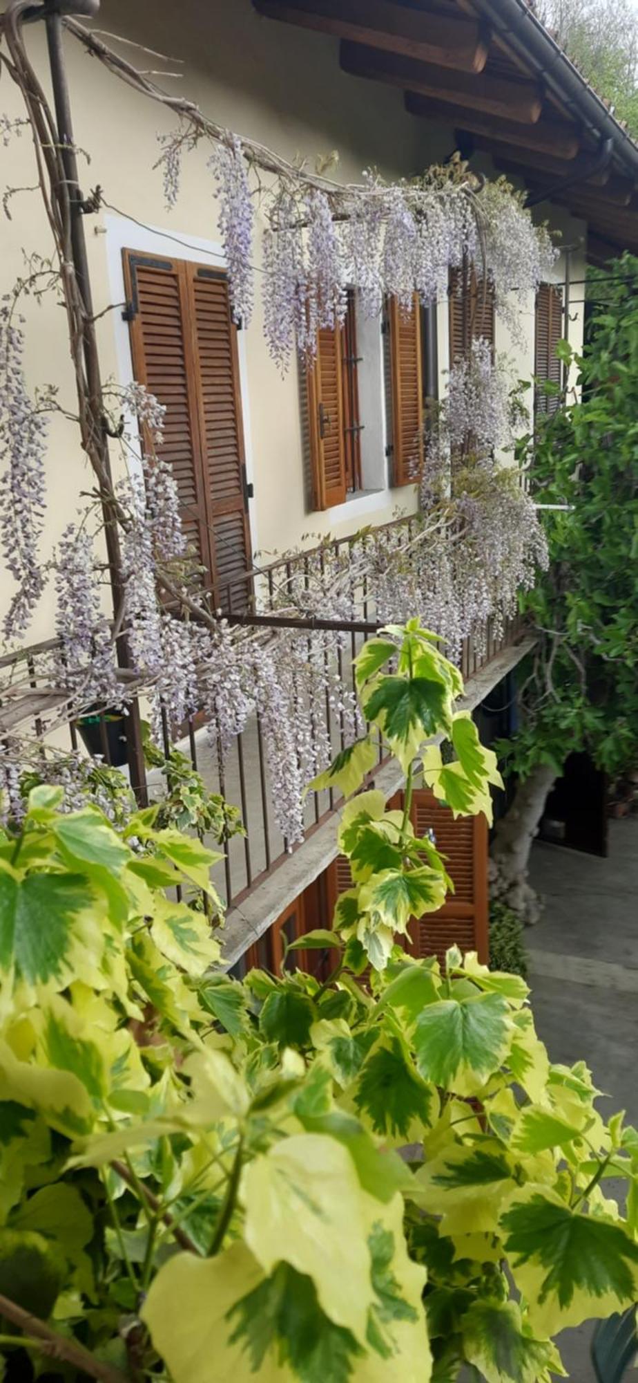 Il Giardino Del Gallo Cherasco Exteriér fotografie