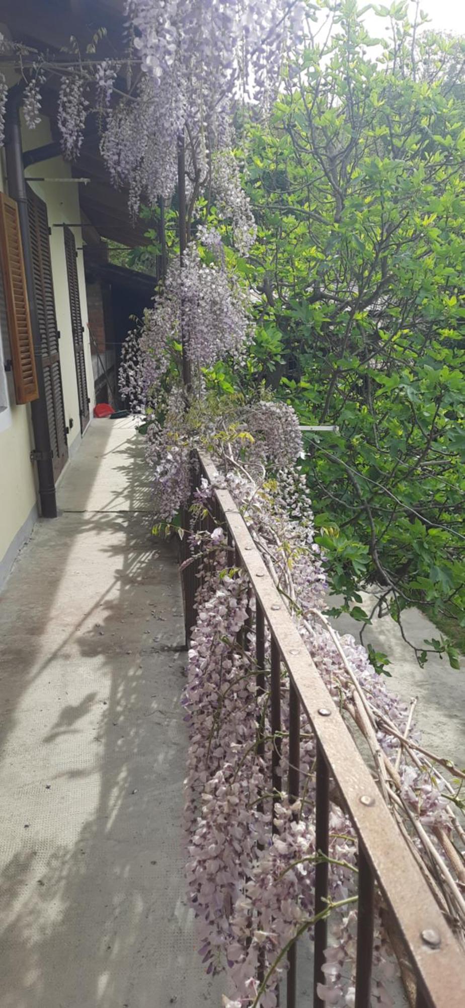 Il Giardino Del Gallo Cherasco Exteriér fotografie