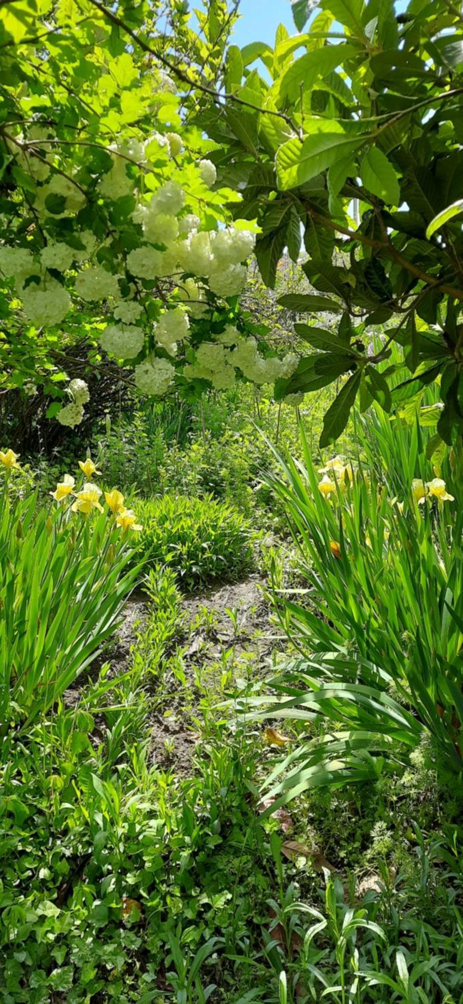 Il Giardino Del Gallo Cherasco Exteriér fotografie