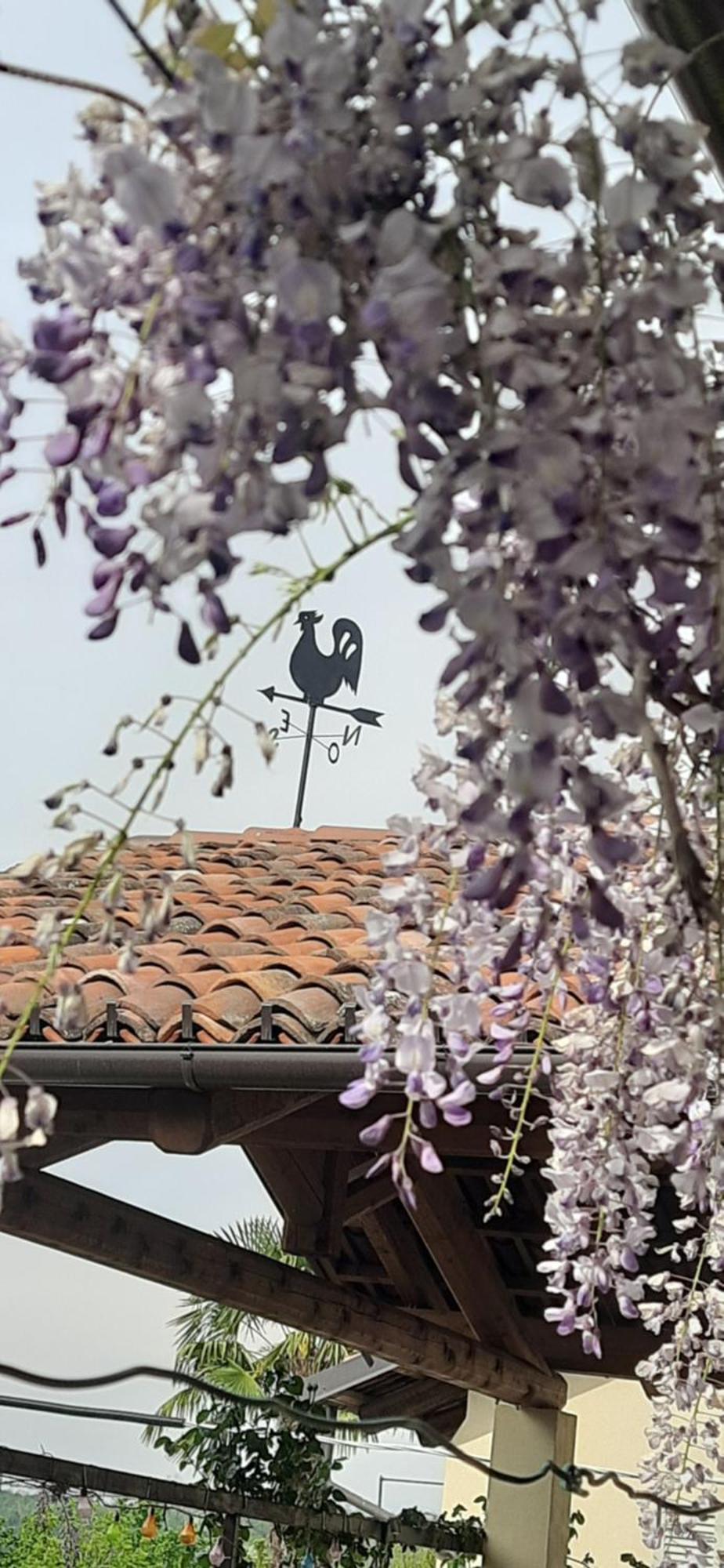 Il Giardino Del Gallo Cherasco Exteriér fotografie