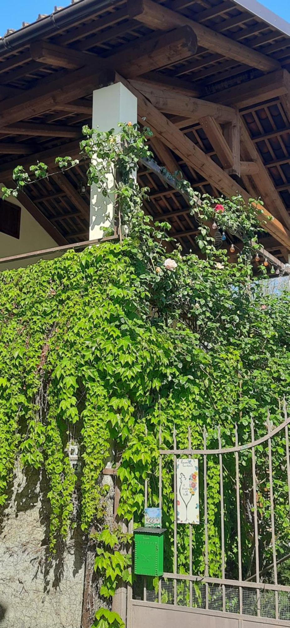 Il Giardino Del Gallo Cherasco Exteriér fotografie