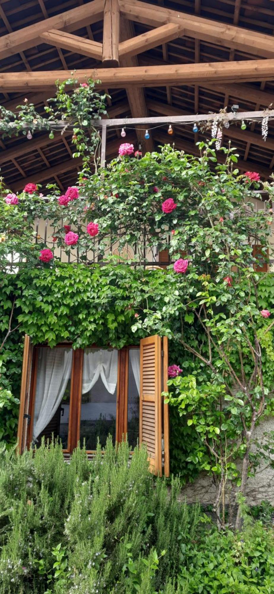 Il Giardino Del Gallo Cherasco Exteriér fotografie